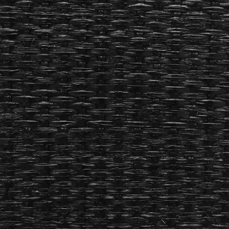 Black 2-Door Cabinet with Woven Rattan Panels